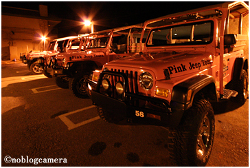 ピンクジープ・ツアー（Pink Jeep Tour）